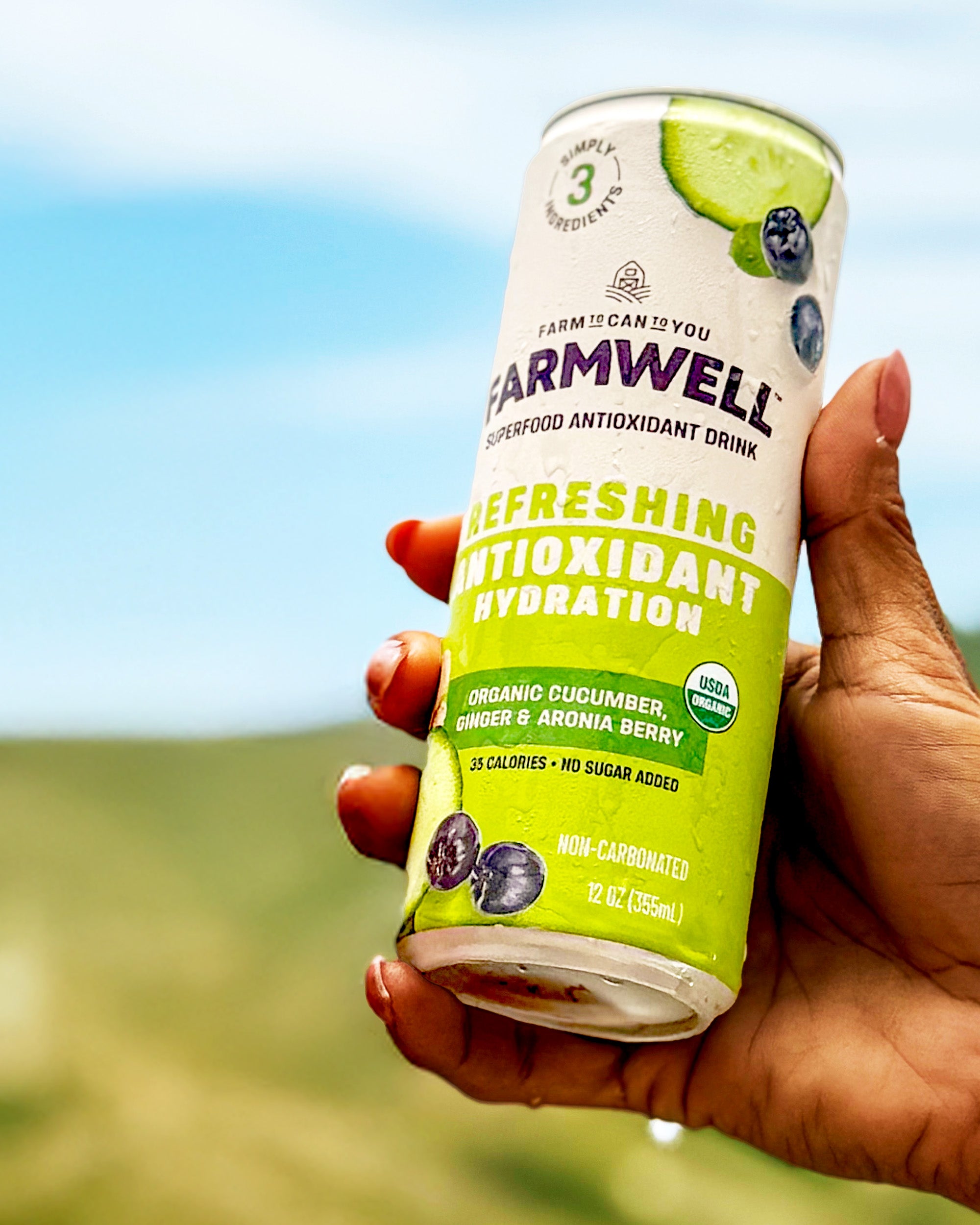 Organic Cucumber, Ginger, and Aronia